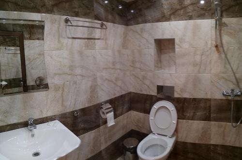 奥格尼亚诺沃Стаи за гости Праматарови Огняново的一间带卫生间和水槽的浴室