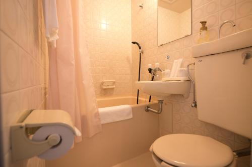 福冈黒瓦代奥特蒙酒店的一间带卫生间和水槽的小浴室