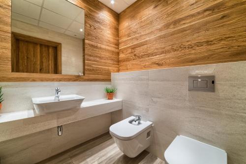 希维拉杜夫-兹德鲁伊Hotel BERLINER的一间带水槽、卫生间和镜子的浴室