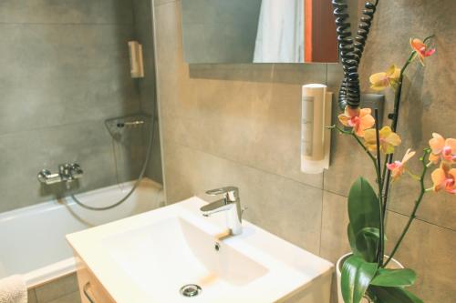 日内瓦拱廊饭店的一间带水槽和镜子的浴室