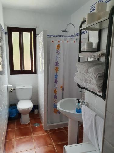 贝瑙卡斯阿尔塔塞拉利昂乡村公寓酒店的浴室配有卫生间、盥洗盆和淋浴。