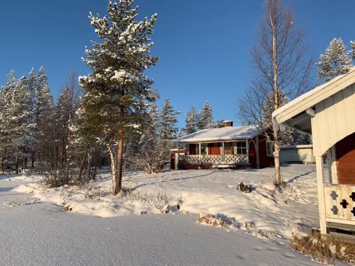 冬天的Wilderness in off-grid cabin in Lapland