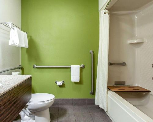 AustinburgSleep Inn & Suites Near I-90 and Ashtabula的绿色浴室设有卫生间和浴缸。