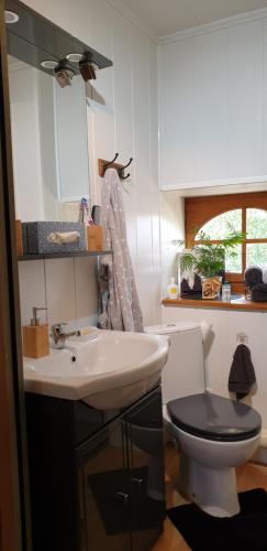 Le TrembloisChez Martine et Laurent的浴室配有白色水槽和卫生间。