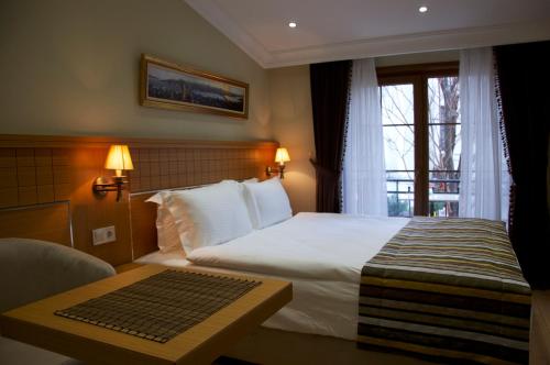伊斯坦布尔加拉塔新艺术风格酒店的酒店客房设有床和窗户。