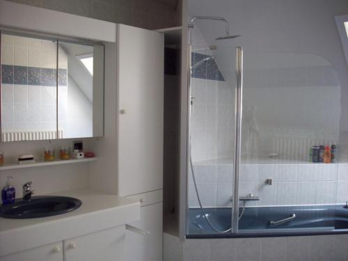 托尔豪特B&B Wijnendalvallei的带淋浴和盥洗盆的浴室