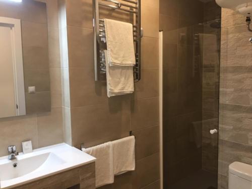 阿尔考空Rooms H Skyline的带淋浴、盥洗盆和镜子的浴室
