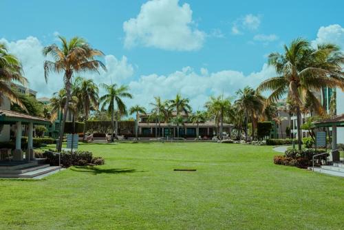 LoizaAquatika Paraíso Tropical的一座棕榈树公园,位于一座建筑前