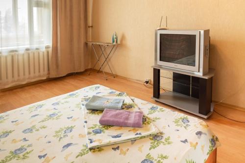 基辅Квартира по адресу Приозерная 8 Б Оболонь的配有电视和一张带枕头的床的房间