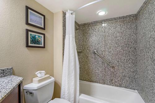 Comfort Inn & Suites St Pete - Clearwater International Airport的一间浴室