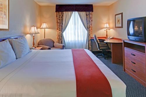 拉斯维加斯拉斯维加斯内利斯智选假日酒店的酒店客房设有一张大床和一台电视。