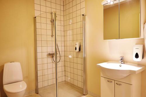 格林斯泰兹Hotel Hedemarken的带淋浴、卫生间和盥洗盆的浴室