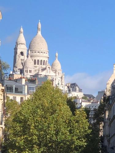 巴黎巴黎克罗采酒店的树顶上带有圆顶的建筑
