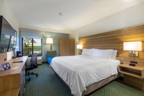 阿拉胡埃拉圣何塞机场智选假日酒店的酒店客房配有一张床、一张书桌和一台电脑