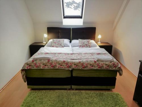图尔钱斯凯特普利采熊猫2号旅馆的一间卧室配有一张绿地毯的大床
