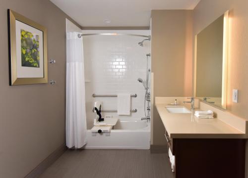 威斯康星戴尔Staybridge Suites - Wisconsin Dells - Lake Delton, an IHG Hotel的带浴缸、水槽和淋浴的浴室
