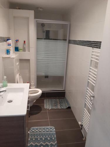沙勒罗瓦ESCALE DU BOURLINGUEUR的带淋浴、盥洗盆和卫生间的浴室