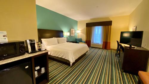 奥兰多奥兰多东智选假日套房酒店的配有一张床和一台平面电视的酒店客房