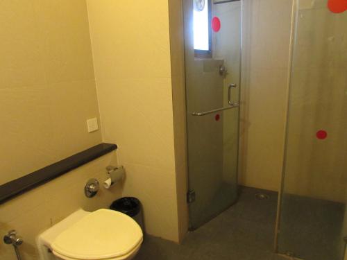 帕纳吉Sandalwood Hotel & Suites的一间带卫生间和淋浴的浴室