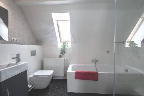 HohenwarslebenApartment Haus 8 Hohenwarsleben的浴室配有盥洗盆、卫生间和浴缸。