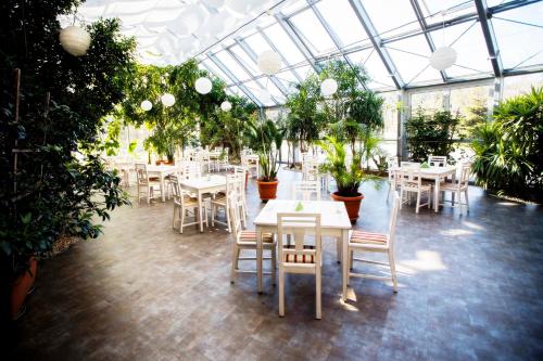 拉多姆Hotel LUKA的温室,配有桌椅和盆栽植物