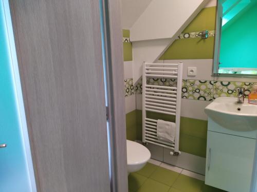 克伦特尼采米库洛娃凯乐尼斯公寓的一间带水槽和卫生间的浴室