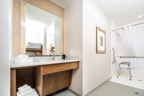 弗洛伦斯Staybridge Suites Florence - Cincinnati South, an IHG Hotel的一间带水槽和镜子的浴室