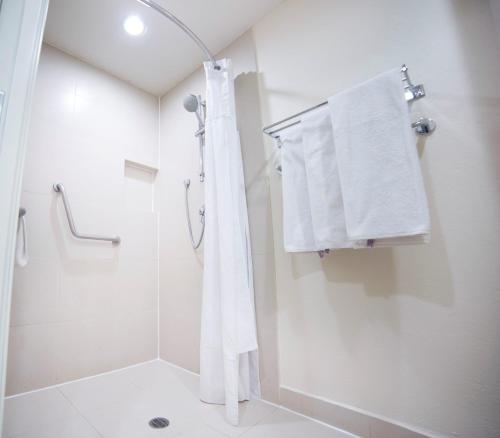 瓜达拉哈拉博览会智选假日酒店的一间浴室