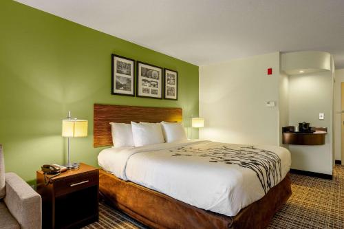 Brandermill米德罗港口司丽普套房酒店的酒店客房带一张大床和一把椅子