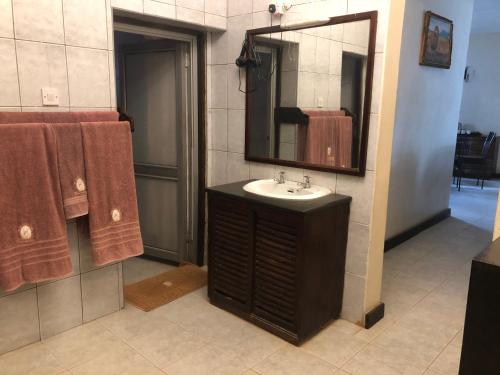 VoiImpala Safari Lodge的一间带水槽和镜子的浴室
