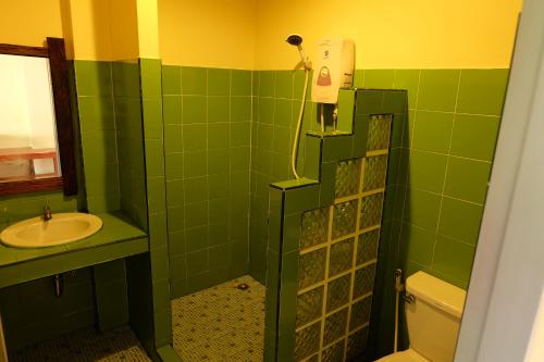 象岛象岛小屋酒店的绿色浴室设有淋浴和水槽