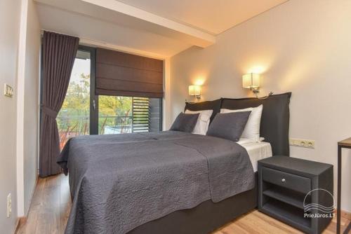 帕兰加Palanga Apartments Near Baltic Sea的一间卧室设有一张大床和一个窗户。