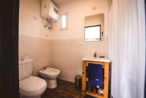 内科切阿Tiny House Necochea的一间带卫生间、水槽和窗户的浴室