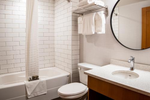 贾斯珀Pyramid Lake Lodge的一间带卫生间、水槽和镜子的浴室