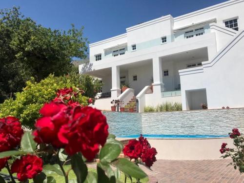 戈登湾Manor on the Bay的一座带游泳池和红玫瑰的别墅