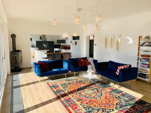 普福尔茨海姆Apartment Am Kupferhammer的客厅配有2张蓝色的沙发和地毯。