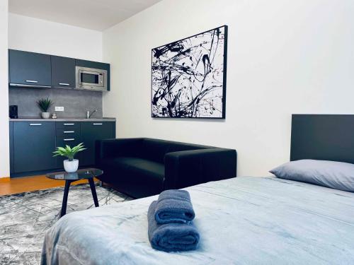 布尔诺Campea Business Apartments的一间卧室设有一张床和一间客厅。