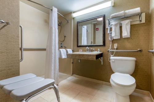Comfort Inn Warner Robins - Robins AFB的一间浴室