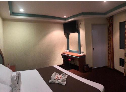 墨西哥城HOTEL ORION的配有一张床和一张书桌的酒店客房
