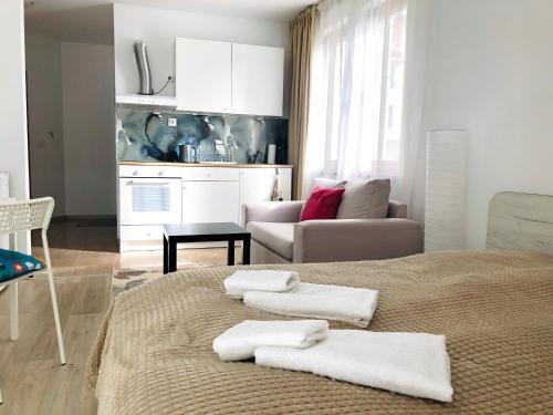 班斯科Temerso Studio-Apartment的一间卧室配有带毛巾的床