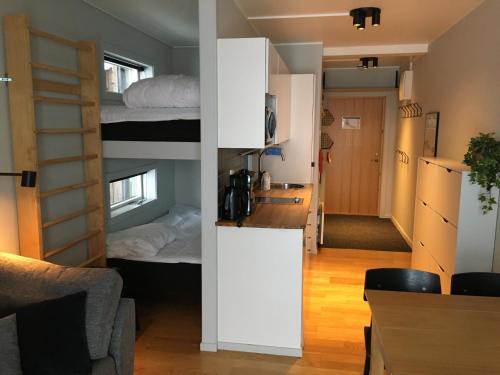 里克斯格伦森Arctic Lodge的一间小公寓 - 带双层床和厨房