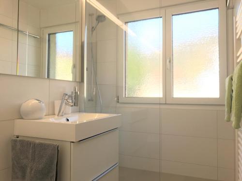 达沃斯金森公寓的白色的浴室设有水槽和镜子
