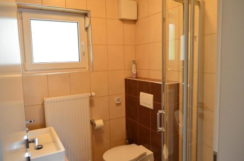 布莱德索非亚公寓酒店的一间带卫生间和窗户的小浴室