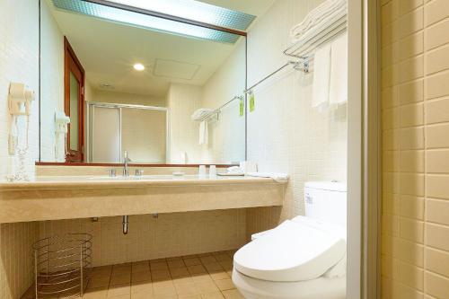 龙潭 渴望会馆 的一间带卫生间、水槽和镜子的浴室