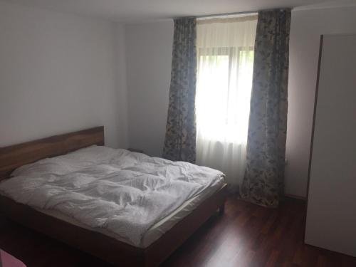 布泽乌Vila Chiojdu的一间卧室配有床和带窗帘的窗户