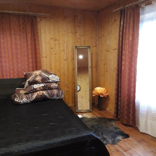 Lauku māja Riesti的一间卧室配有带枕头和镜子的床