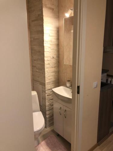 约赫维Narva mnt 23’’的浴室配有白色卫生间和盥洗盆。