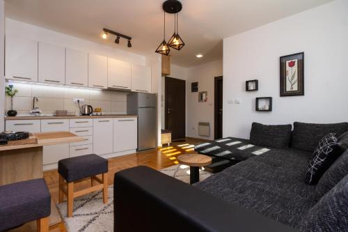 兹拉蒂博尔Apartman Nina的带沙发的客厅和厨房