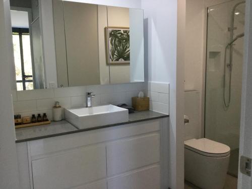 芬戈The Moonah Apartment 29的一间带水槽、卫生间和镜子的浴室
