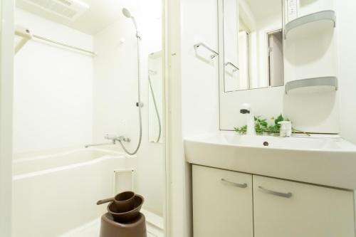 东京千鸟町时尚公寓的白色的浴室设有水槽和镜子